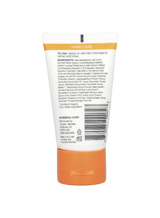 Andalou Naturals Andalou Naturals, Shampoo, Argan Oil & Shea, 1.7 fl oz (50 ml) - Image 2