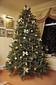Generic Christmas Pine Tree Same as in Photo I Artificial 10 feet Christmas Pine Tree with Solid Iron Metal LegsLight Weight Perfect for Christmas Decoration Green Tree Decoration not Included  - Image 1