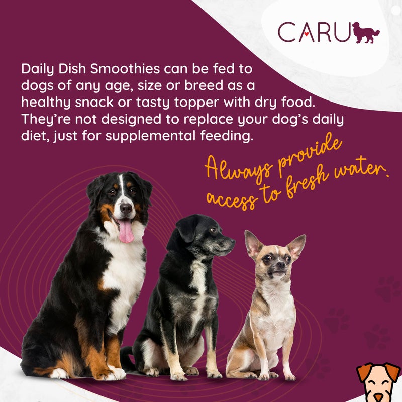 CARU - Daily Dish Smoothies - Lickable Chicken Dog Treat - 4 Pack - .5oz Tubes - Image 4