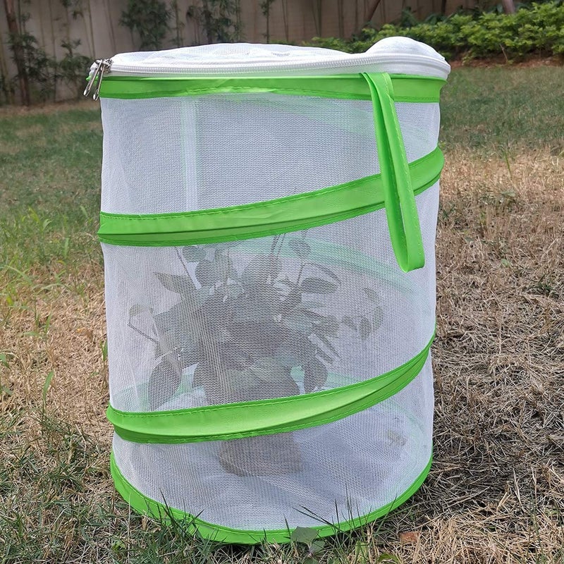 Trasfit Pop-up Insect and Butterfly Habitat Cage Terrarium â€“ 12 x 14 Inches Tall - Image 5