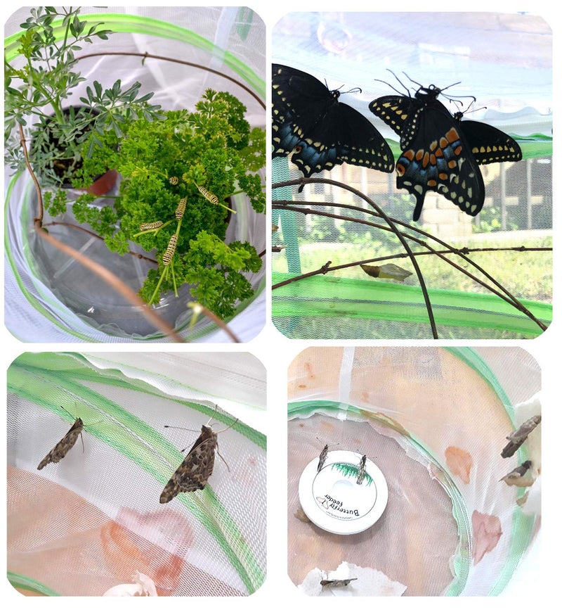 Trasfit Pop-up Insect and Butterfly Habitat Cage Terrarium â€“ 12 x 14 Inches Tall - Image 3