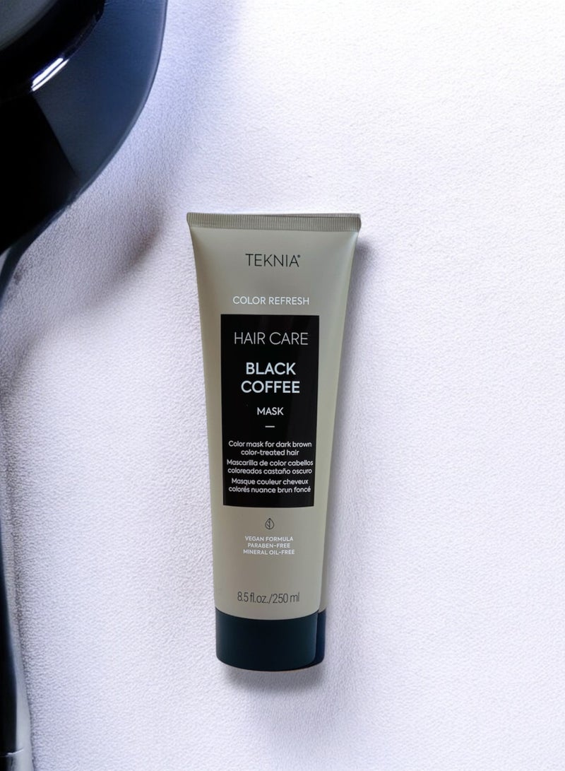TEKNIA LAKME TEKNIA COLOR REFRESH BLACK COFFEE MASK 250ml - Image 1
