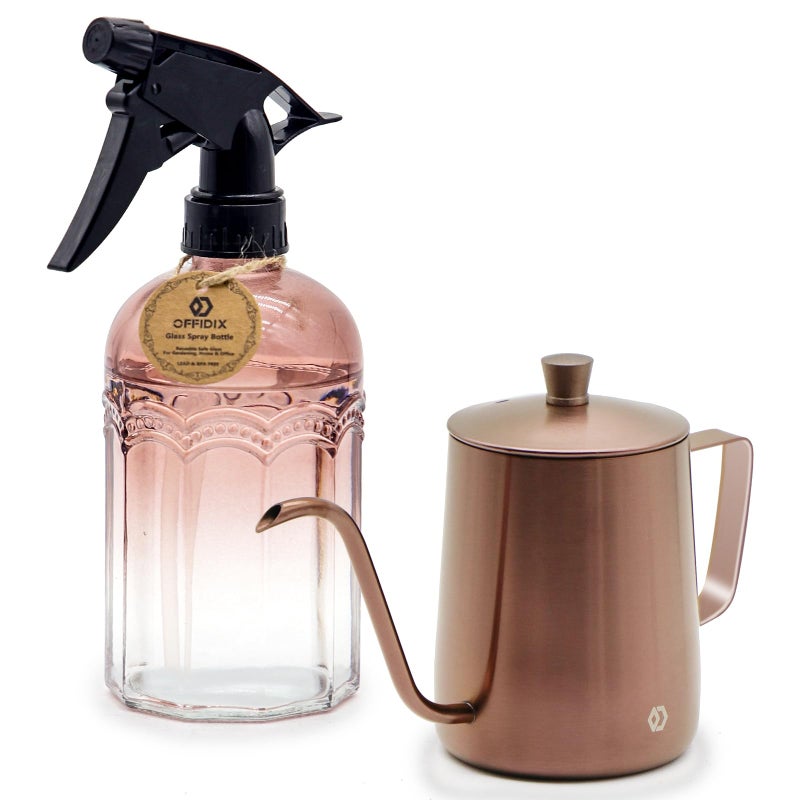 OFFIDIX Watering Can for Indoor Plants Long Spout Metal Stainless Steel 21 oz Small Watering Can with 14 oz Glass Plant Mister Spray Bottle for Plants Bonsai - Image 1