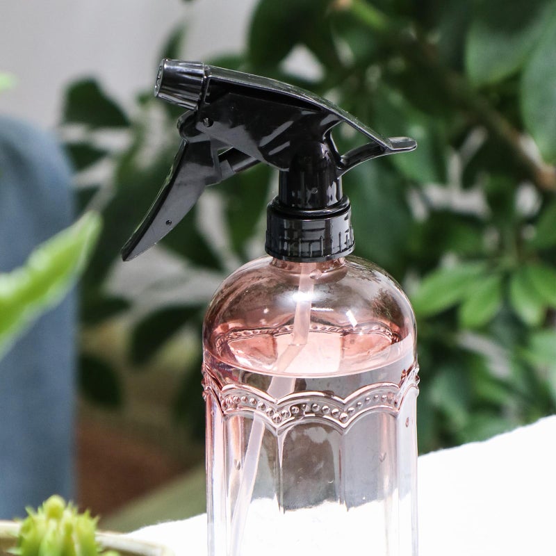 OFFIDIX Watering Can for Indoor Plants Long Spout Metal Stainless Steel 21 oz Small Watering Can with 14 oz Glass Plant Mister Spray Bottle for Plants Bonsai - Image 4