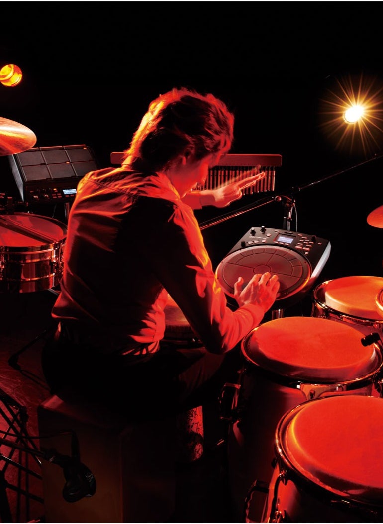 Roland Roland HandSonic HPD-20 Digital Hand Percussion Instrument  - Image 5