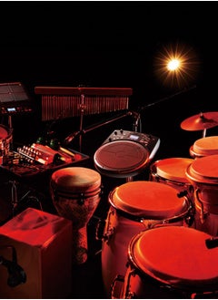 Roland Roland HandSonic HPD-20 Digital Hand Percussion Instrument  - Image 4