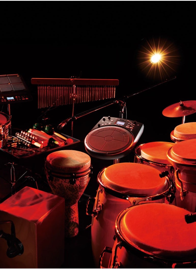 Roland Roland HandSonic HPD-20 Digital Hand Percussion Instrument  - Image 4