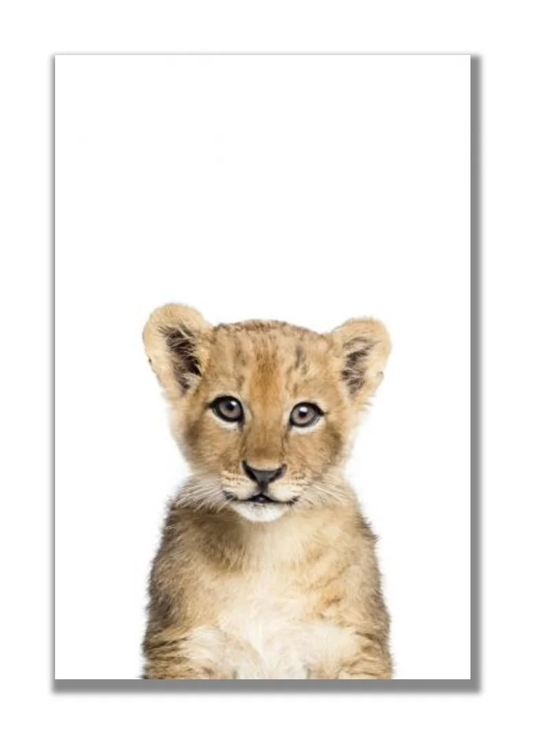 Drawdeck Baby Lion