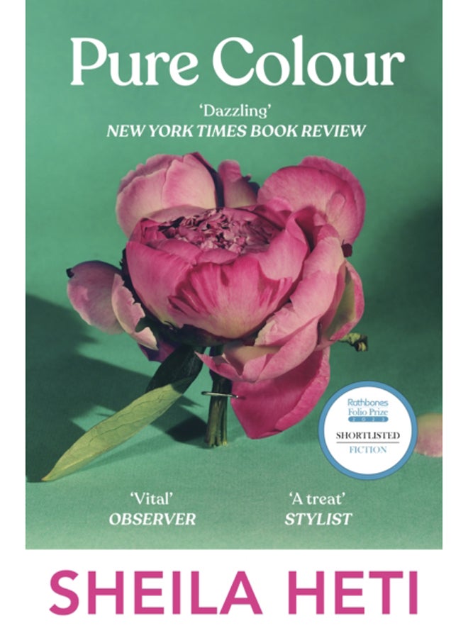 Pure Colour : the new novel from the author of Motherhood and How Should A Person Be?