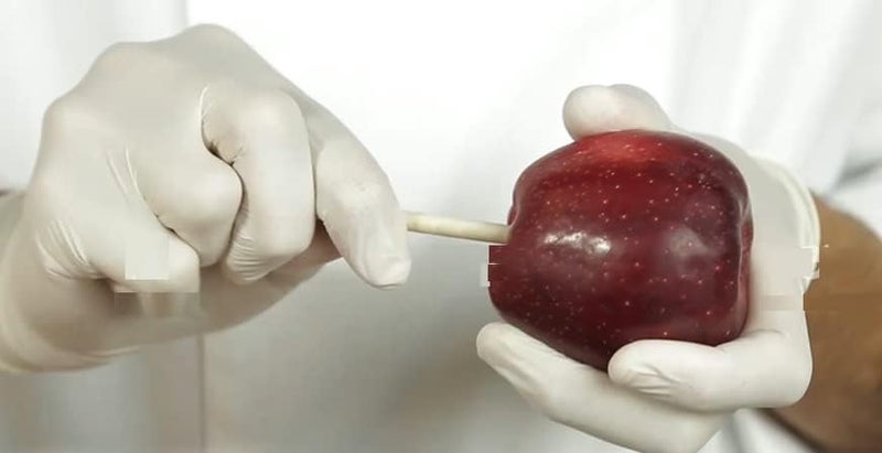 Oasis Supply Apple Candy Containers - 20 Paper Candy Apple Sticks + 20 Candy Apple Bubble Containers – Supplies for Candy Packaging - Image 4