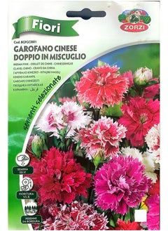 GAROFANO CINESE DOPPIO IN MISCUGLIO Seeds