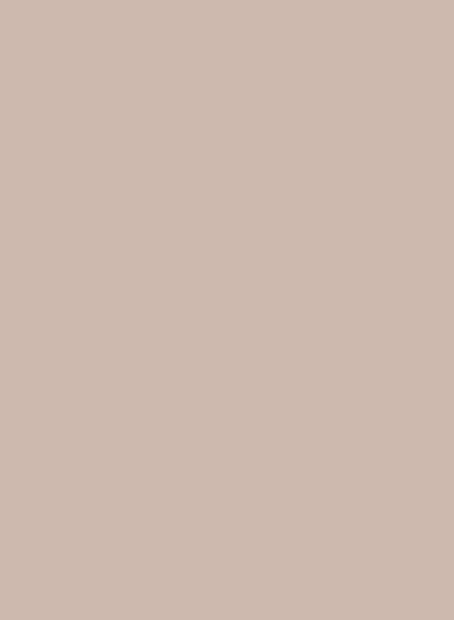 Jazeera Paints Matt Interior Wall Paint (Color: Cacao) 3 Liters - Image 3