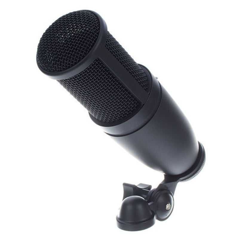 AKG Pro Audio P120 Professional 2/3-inch Diaphragm, True Condenser Studio Microphone, All Metal Design, Silver. - Image 2