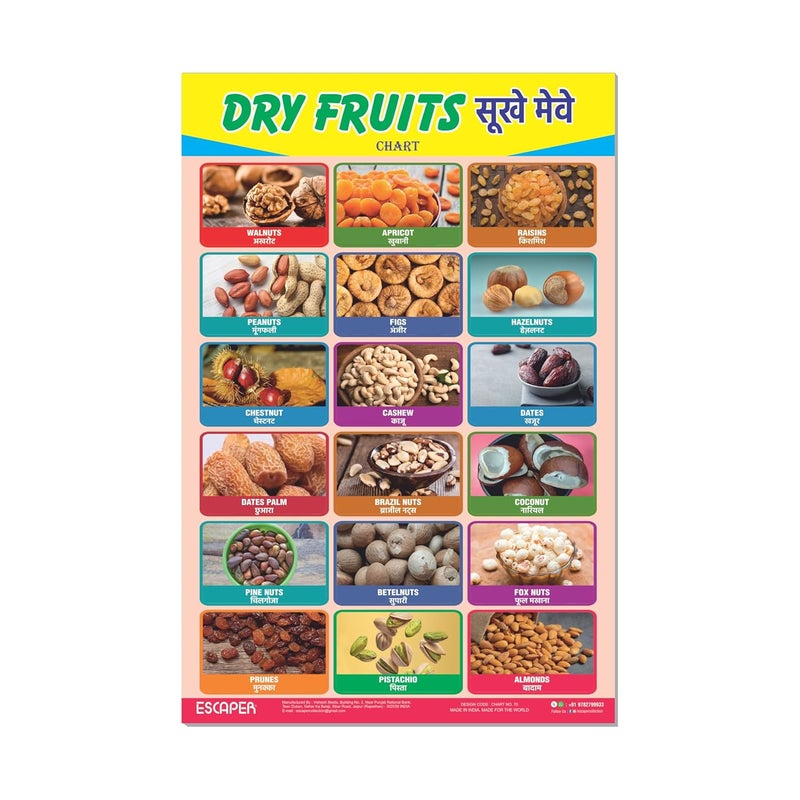 ESCAPER لوحات تعليمية عن الفواكه المجففة للأطفال، لوحات لتعلم الأطفال (11.5 × 17.5 بوصة)، مواد دراسية للأطفال، كتب تعليمية للأطفال، ملصقات تعليمية - Image 1