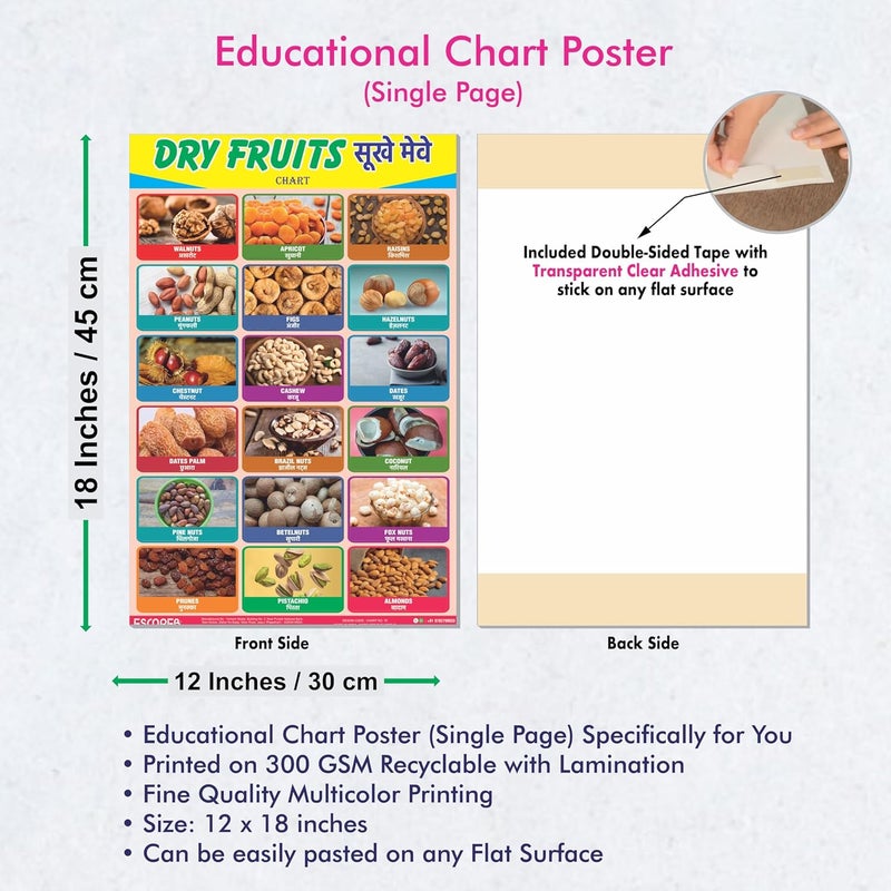 ESCAPER لوحات تعليمية عن الفواكه المجففة للأطفال، لوحات لتعلم الأطفال (11.5 × 17.5 بوصة)، مواد دراسية للأطفال، كتب تعليمية للأطفال، ملصقات تعليمية - Image 3