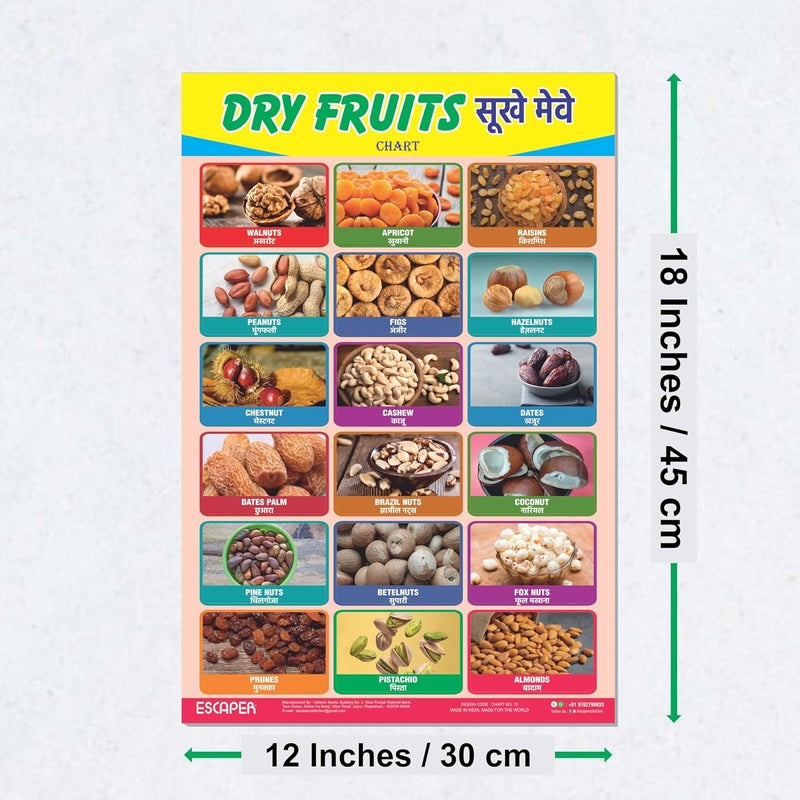 ESCAPER لوحات تعليمية عن الفواكه المجففة للأطفال، لوحات لتعلم الأطفال (11.5 × 17.5 بوصة)، مواد دراسية للأطفال، كتب تعليمية للأطفال، ملصقات تعليمية - Image 2