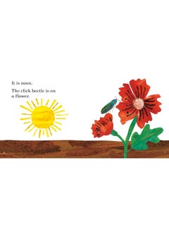 Ladybird Readers Beginner Level - Eric Carle - Where Is the Click Beetle? (ELT Graded Reader)  - Image 2