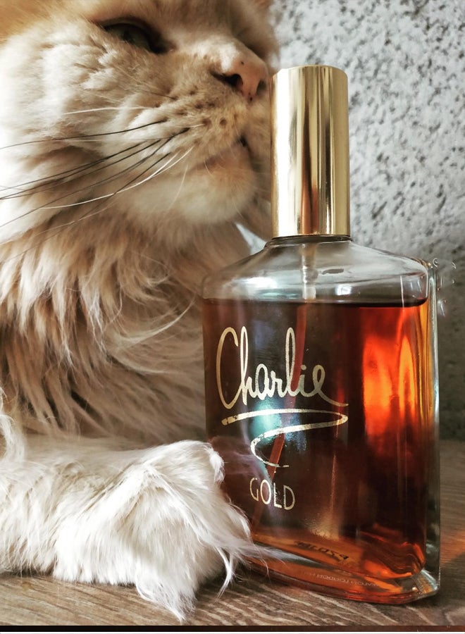 ريفلون عطر تواليت من تشارلي 100ملليلتر - Image 4