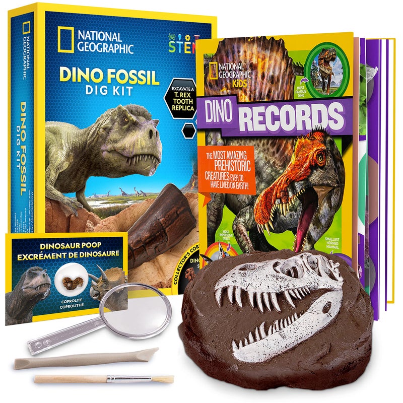 Blue Marble NATIONAL GEOGRAPHIC Dino Fossil Dig Kit & Dinosaur Book for Kids- Excavate a Replica Dinosaur Tooth Fossil and Study Paleontology with a Full-Color Dinosaur Activity Book for Kids (Amazon Exclusive)  - Image 1