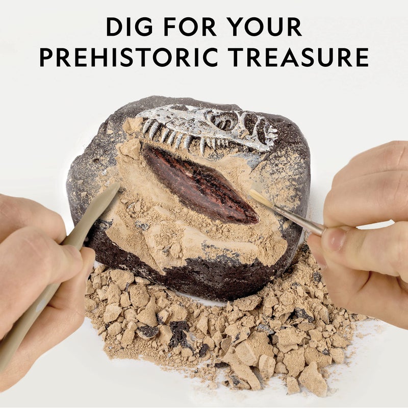 Blue Marble NATIONAL GEOGRAPHIC Dino Fossil Dig Kit & Dinosaur Book for Kids- Excavate a Replica Dinosaur Tooth Fossil and Study Paleontology with a Full-Color Dinosaur Activity Book for Kids (Amazon Exclusive)  - Image 2