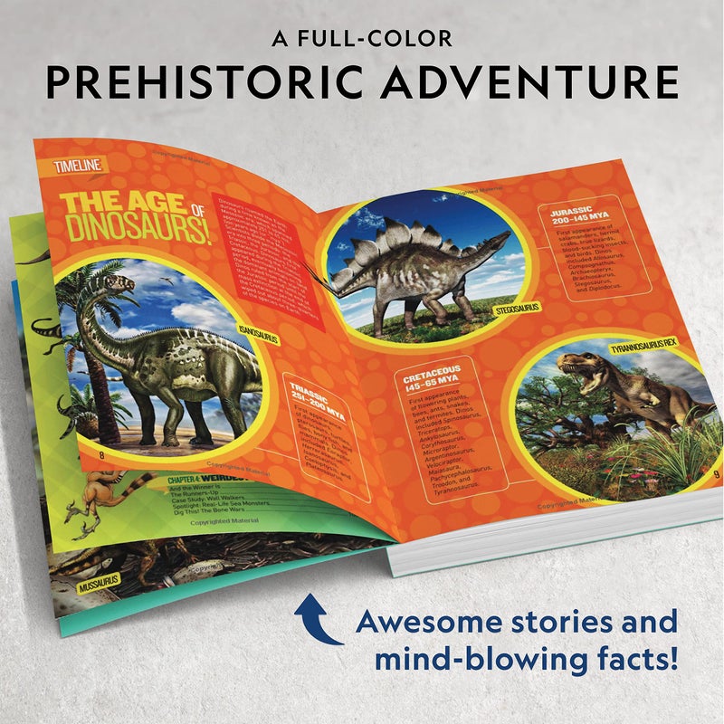 Blue Marble NATIONAL GEOGRAPHIC Dino Fossil Dig Kit & Dinosaur Book for Kids- Excavate a Replica Dinosaur Tooth Fossil and Study Paleontology with a Full-Color Dinosaur Activity Book for Kids (Amazon Exclusive)  - Image 5