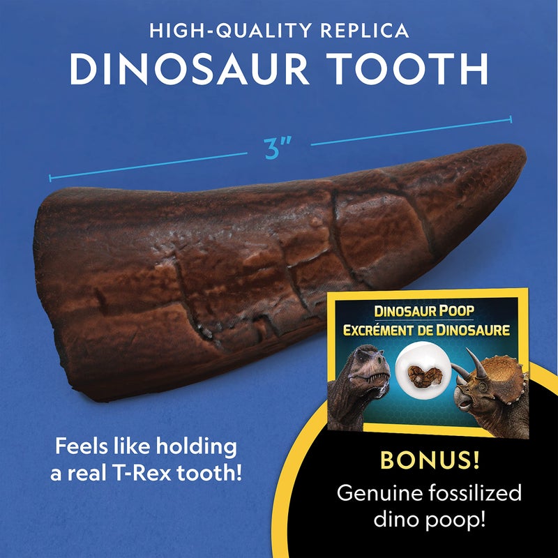 Blue Marble NATIONAL GEOGRAPHIC Dino Fossil Dig Kit & Dinosaur Book for Kids- Excavate a Replica Dinosaur Tooth Fossil and Study Paleontology with a Full-Color Dinosaur Activity Book for Kids (Amazon Exclusive)  - Image 4