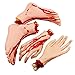XONOR Halloween Severed Hands Feet Set Scary Bloody Broken Body Parts Halloween Props Decorations 4 PiecesFeet Hands Skin Color - Image 2