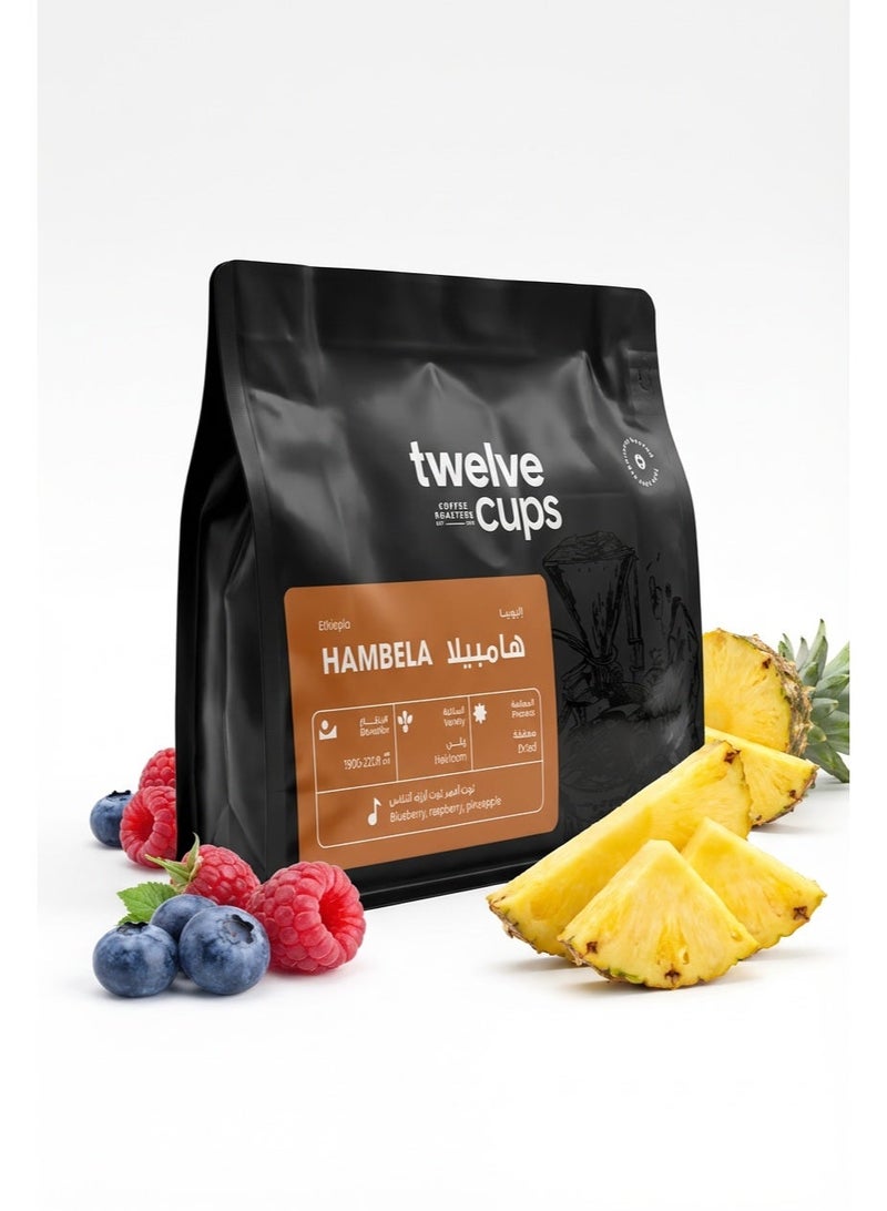 12 كوب محصول قهوه v60  اثوبيا هامبيلا   250 جرام - حبوب كاملة - Image 1