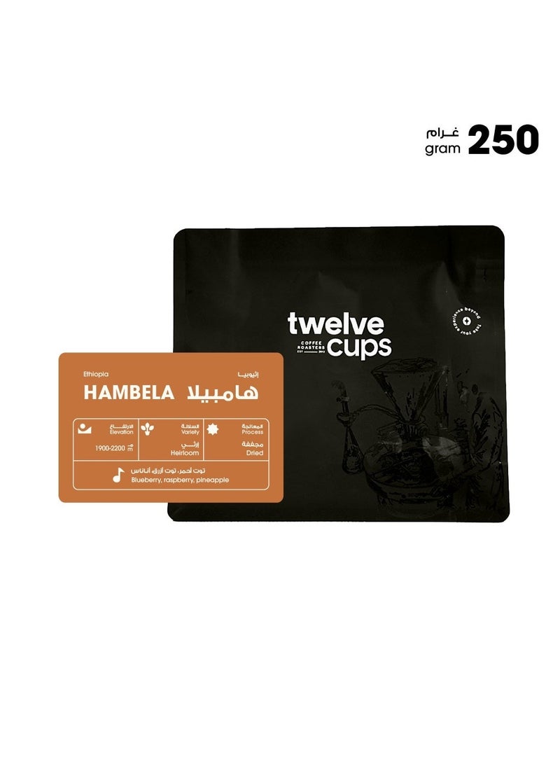 12 كوب محصول قهوه v60  اثوبيا هامبيلا   250 جرام - حبوب كاملة - Image 2