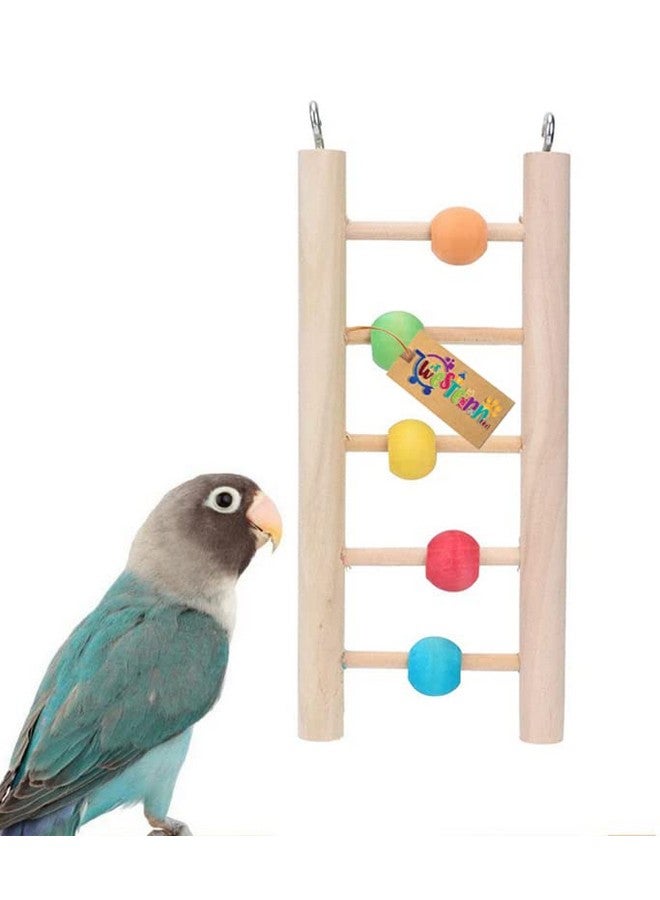 Western Era Toy Decorates Cage, Interactive, Lovely, Colorful Ball, Provide Exercise, Training, Iq, Motor Skills, Boredom, For Cockatiel, Parakeet, Budgies, Canaries, Finch, Parrots - Image 4