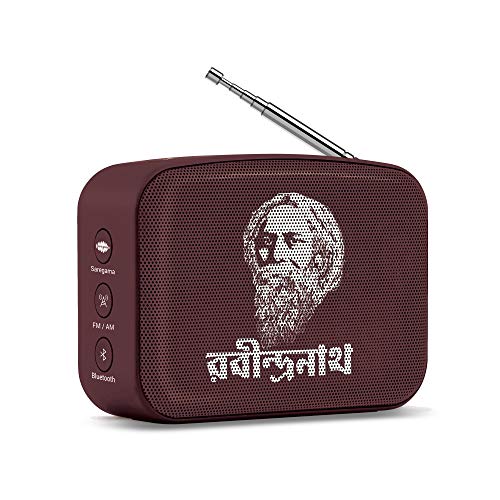 Carvaan Mini 2.0 Wireless, Auxiliary, USB, Bluetooth Bookshelf Speaker (Terracotta Brown) - Image 1