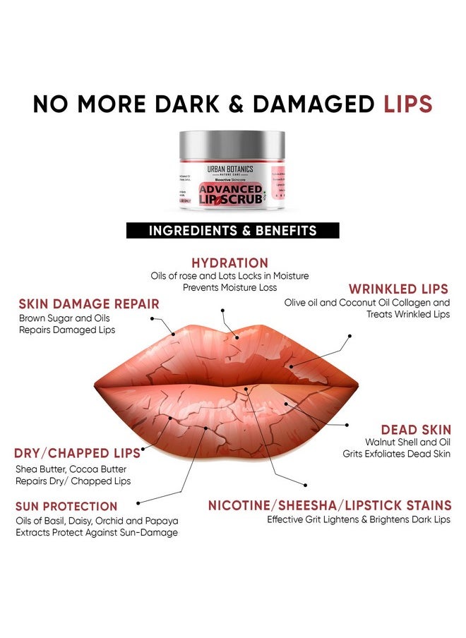 UrbanBotanics ® Advanced Lip Scrub Balm - Lightening And Brightening Dark Lips - Lip Scrub For Women & Men Smoker/Dry/Chapped Lip Care (Color : Red), 40 Grams  - Image 4