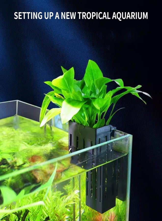 GLEFLE 2 PCS Aquarium Plant Holder Top Hanging Fish Tank Plant Pot Aquarium Planter Cups for Water Feature Decoration - Image 2