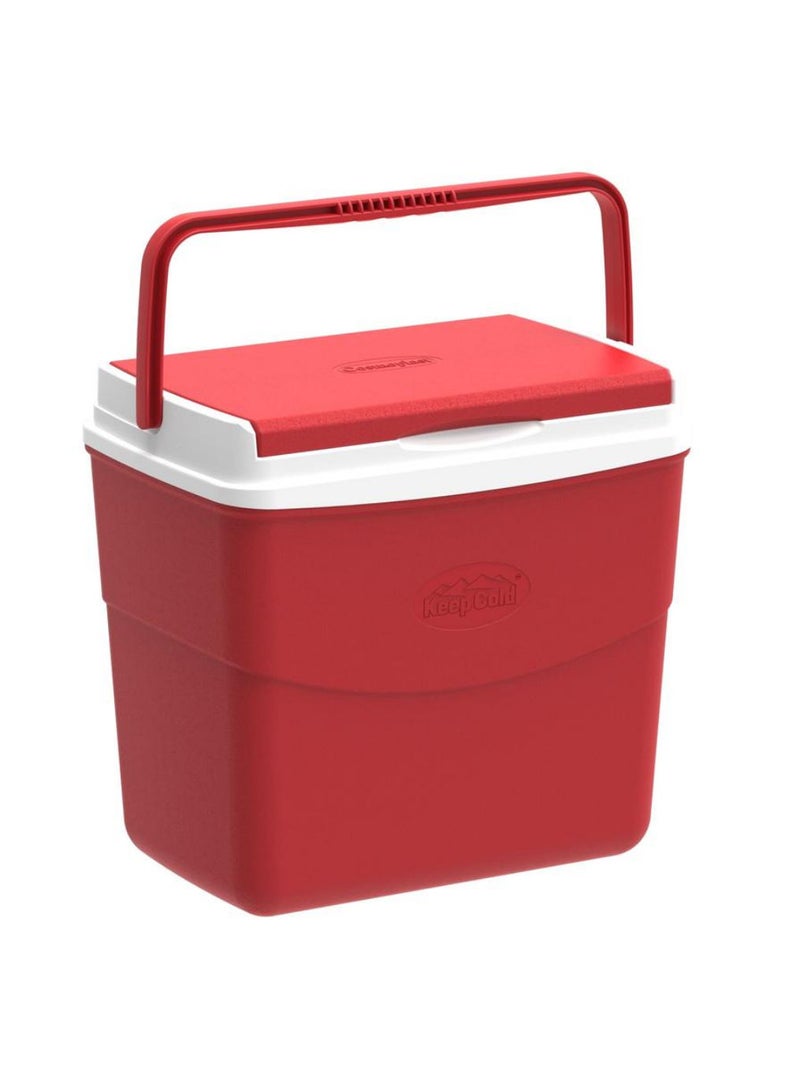 Picnic Icebox 30 L 46 X 29 X 38 Cm