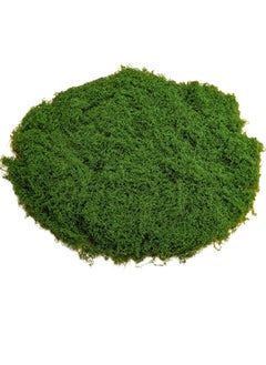 Mordely Fake Moss 30g Plastic Artificial Moss Realistic Looking Faux Moss Natural Fake Green Lichen Plants for Plant Pot Crafting Garden Patio Decoration Dark Green Faux Moss Artificial Moss for Plant Pots Ar  - Image 1