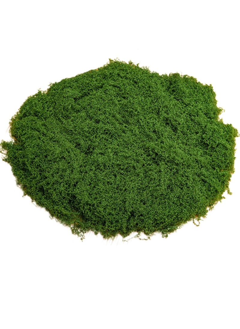 Mordely Fake Moss 30g Plastic Artificial Moss Realistic Looking Faux Moss Natural Fake Green Lichen Plants for Plant Pot Crafting Garden Patio Decoration Dark Green Faux Moss Artificial Moss for Plant Pots Ar  - Image 1