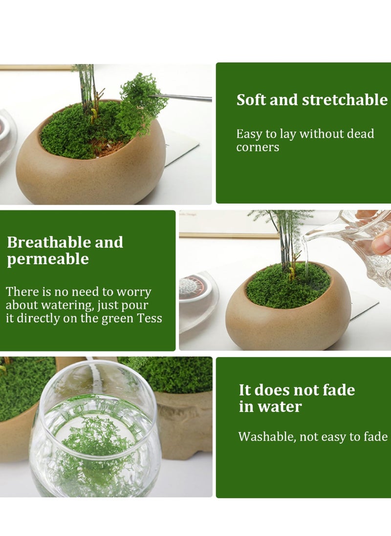 Mordely Fake Moss 30g Plastic Artificial Moss Realistic Looking Faux Moss Natural Fake Green Lichen Plants for Plant Pot Crafting Garden Patio Decoration Dark Green Faux Moss Artificial Moss for Plant Pots Ar  - Image 2