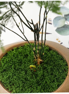 Mordely Fake Moss 30g Plastic Artificial Moss Realistic Looking Faux Moss Natural Fake Green Lichen Plants for Plant Pot Crafting Garden Patio Decoration Dark Green Faux Moss Artificial Moss for Plant Pots Ar  - Image 3
