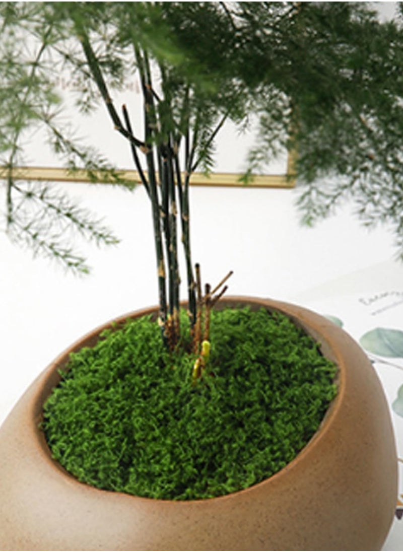 Mordely Fake Moss 30g Plastic Artificial Moss Realistic Looking Faux Moss Natural Fake Green Lichen Plants for Plant Pot Crafting Garden Patio Decoration Dark Green Faux Moss Artificial Moss for Plant Pots Ar  - Image 4