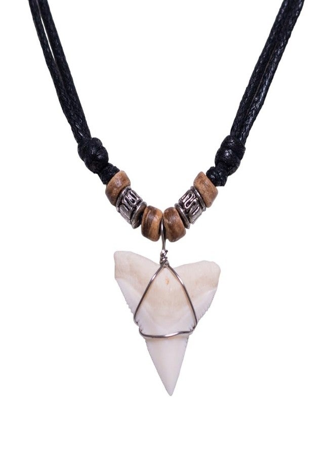 BlueRica Shark Tooth on Adjustable Black Cord Necklace (3U) - Image 1