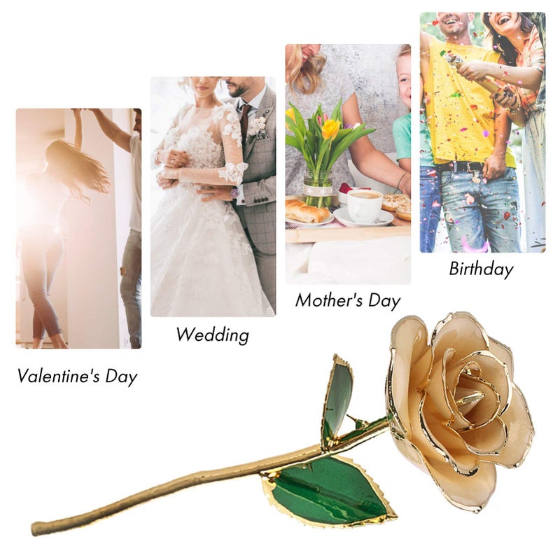 Ejoyous Ejoyous 24k Gold Dipped White Rose Long Stem Forever Preserved Rose Flower  Gift for Her  Mom  Wife on Valentine's Day/Mothers Day/Christmas/Birthday/Anniversary/Wedding  - Image 5
