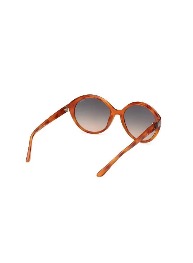 GUESS  Oval Sunglasses for Women | Best Price UAE