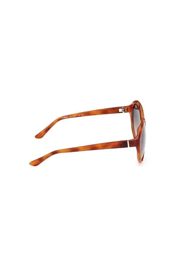 GUESS  Oval Sunglasses for Women | Best Price UAE