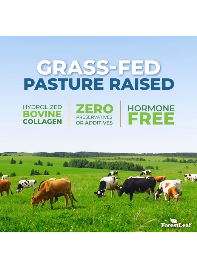 ForestLeaf Collagen Peptides Powder Unflavored - Hydrolyzed Collagen Protein Powder Type 1, 2 & 3 - Grass Fed Keto Collagen Powder for Women & Men - Vital Hair, Skin, Nails, Joints, Recovery, 11g Per Serving - Image 4