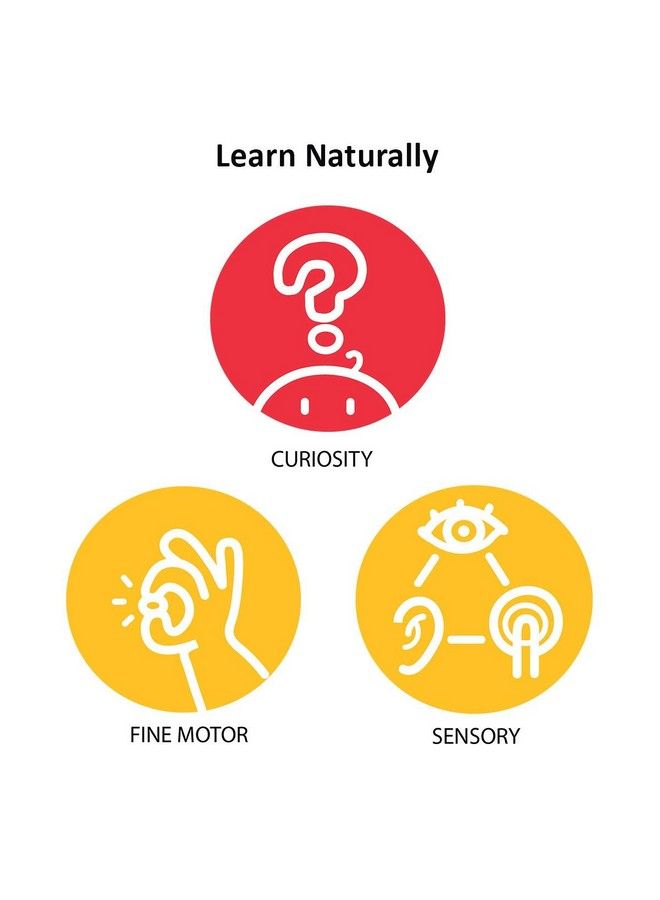 Shumee Wooden Egg Shakers (0 Years+)Set Of 2 (Purple Green) - Image 5