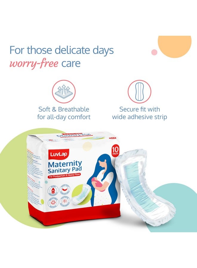 لوفلاب فوط الأمومة فائقة الامتصاص من لوف لاب، عبوة من 10 فوط، من عمر 0 إلى أسبوعين بعد الولادة، فوط ما بعد الولادة للتدفق الغزير، فوط صحية للنساء، فوط فائقة النعومة للتدفق أثناء الولادة، نزيف ما بعد الولادة - Image 3