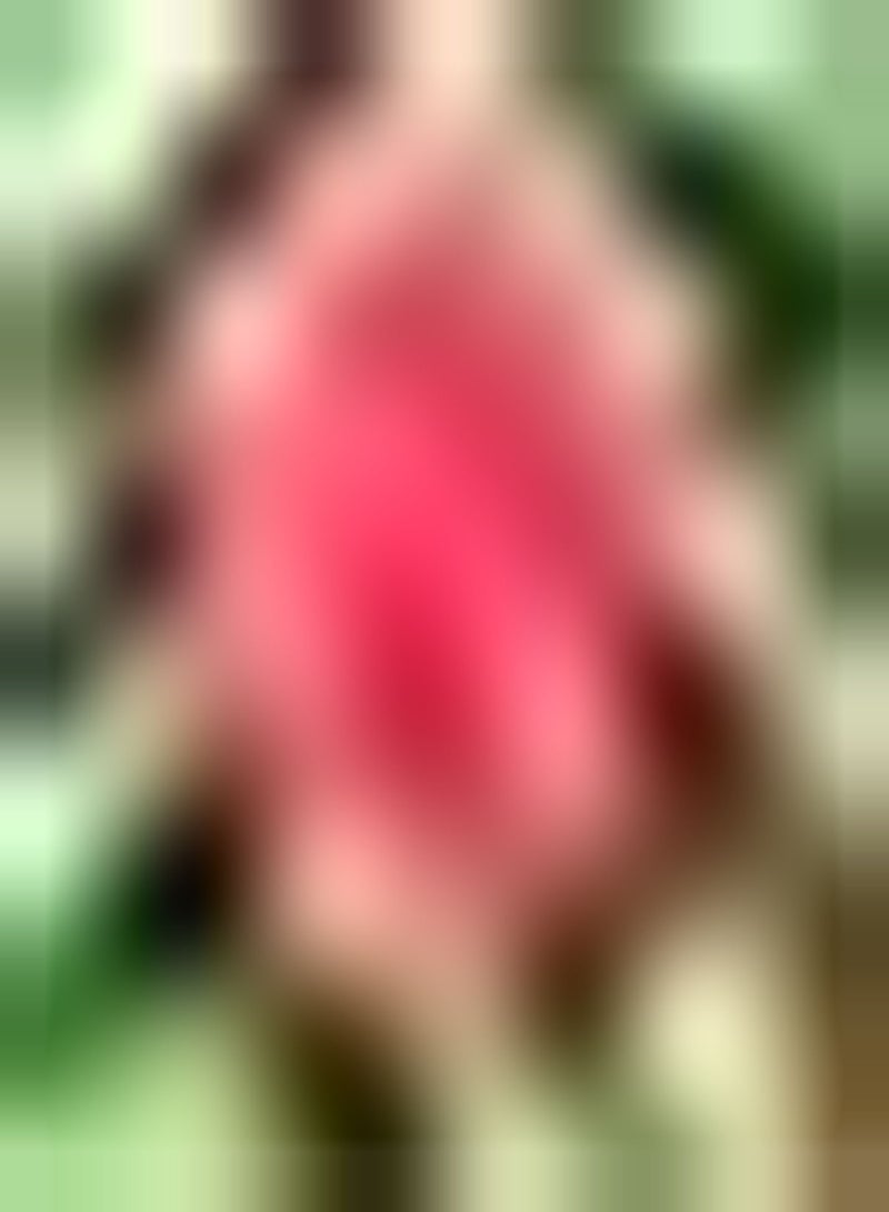 GGOOT 500pcs Pink Celosia seeds Unique Collocation Garden Yard Exotic Good Choice for Planting DIY Garden Craft Art Decoration with High Germination Rate - Image 2