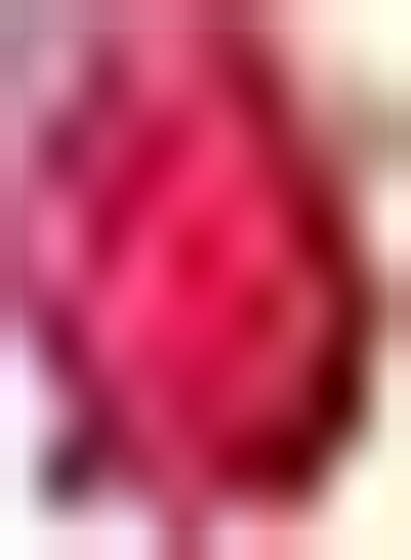 GGOOT 500pcs Pink Celosia seeds Unique Collocation Garden Yard Exotic Good Choice for Planting DIY Garden Craft Art Decoration with High Germination Rate - Image 1