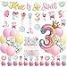 JUYRLE 3rd Happy Birthday Decorations for Girls third pink birthday decorations ice cream birthday party decor With Donut Banner Sweet Cake Topper 3rd Foil Balloon For Three Donut Themed Party - Image 2
