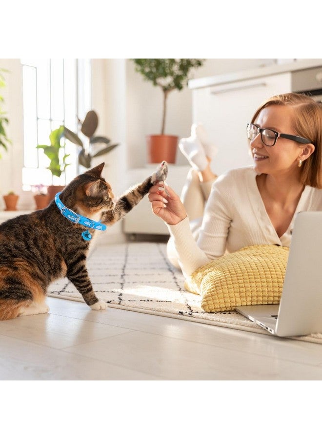 Western Era Multicolored Adjustable Rubber Silicone Cat Collar|Stylish Training Fusion|Redefining Feline Style|Rubber Cat Collar In A Vibrant Hue Silicone Cat Collar With Bell (Blue) - Image 2